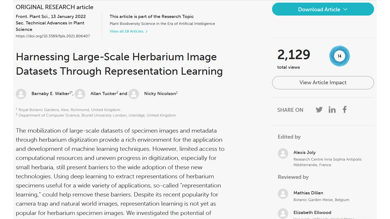 Representation learning