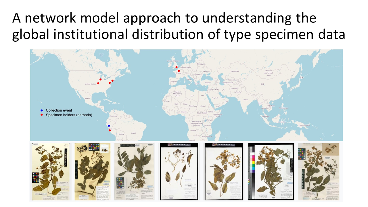 Type deposition networks