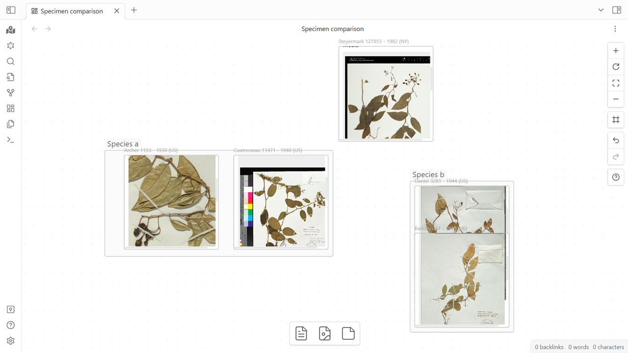 Specimen comparison and grouping interface