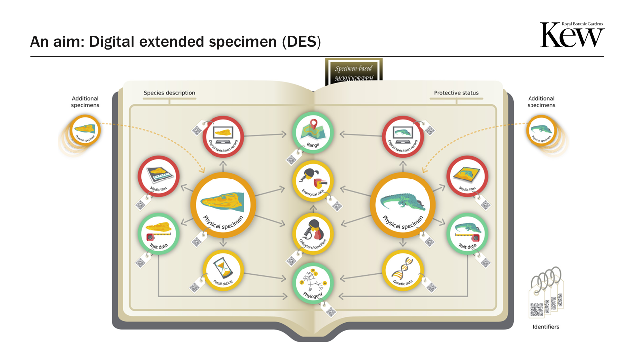 An aim: the digital extended specimen (DES)