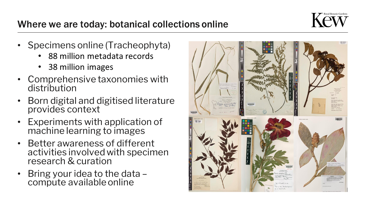 Where we are today: botanical information online