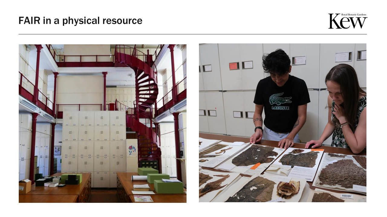 Working in Kew's herbarium: FAIR in a physical resource