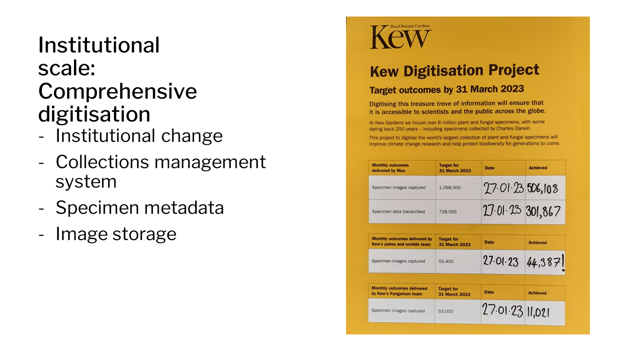 Institutional scale: comprehensive digitisation