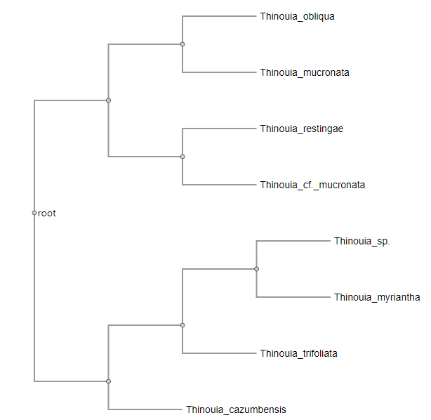 Screenshot of phylogeny visualisation